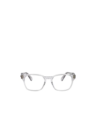 Ferragamo Light Crystal Grey Acetate Glasses