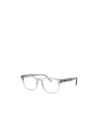 Ferragamo Light Crystal Grey Acetate Glasses