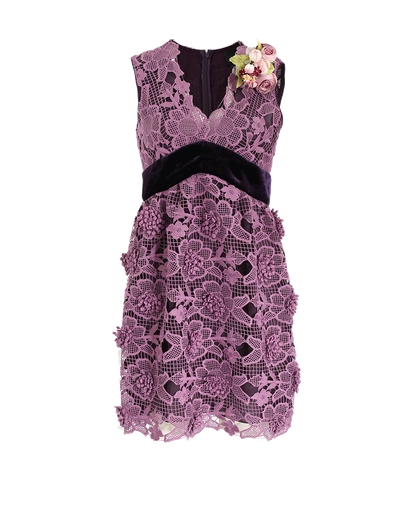 Shop Anna Sui Camillia Flower Lace Dress In Plum-mul