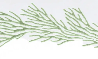 Matouk Atoll 520 Thread Count Cotton Percale Sham