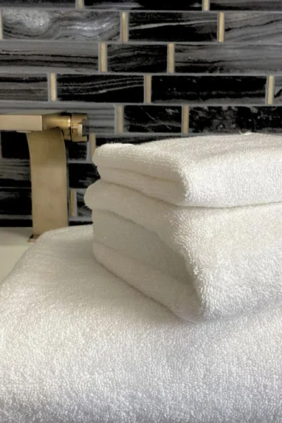 Bedvoyage Luxury Viscose Odor & Mildew Resistant Towel Collection, 3pc Set