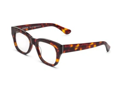 Caddis Miklos | Reading Glasses