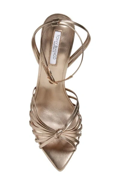 Tony Bianco Maxos Ankle Strap Pointed Toe Sandal