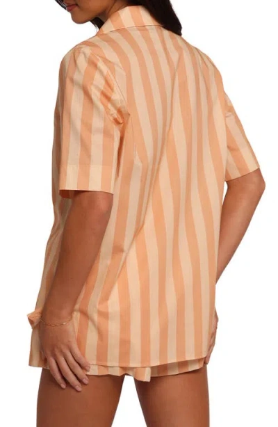 Petal And Pup Petal & Pup Essie Stripe Cotton Tie Front Shirt In Brown