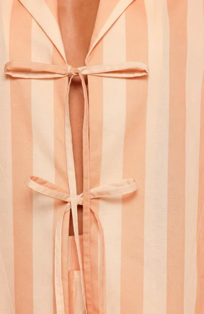 Petal And Pup Petal & Pup Essie Stripe Cotton Tie Front Shirt In Brown