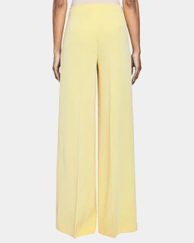 Santorelli Lily Wide Leg Pants With Slanted Side Pockets In Techno Crepe