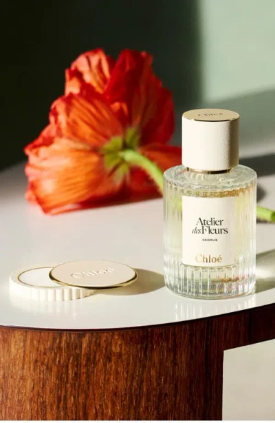 Chloé Atelier Des Fleurs Magnolia Alba Solid Perfume Refill Set