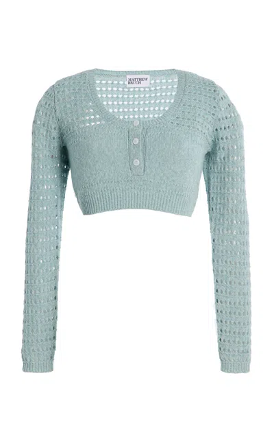 Matthew Bruch Striped Mesh Long Sleeve Cropped Henley In Blue