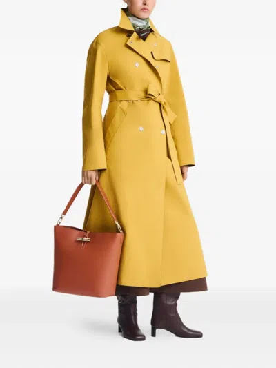 Longchamp Extra Small Le Roseau Leather Bucket Bag In Brown