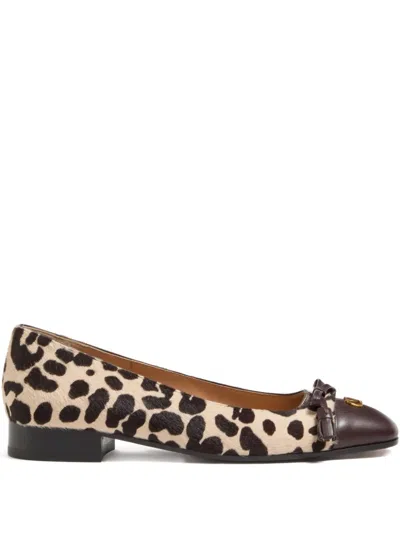 Valentino Garavani Ballerina Leather-trimmed Leopard-print Calf Hair Flats In Multi