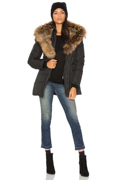 Akiva Asiatic Raccoon Fur And Rabbit Fur Coat In Black