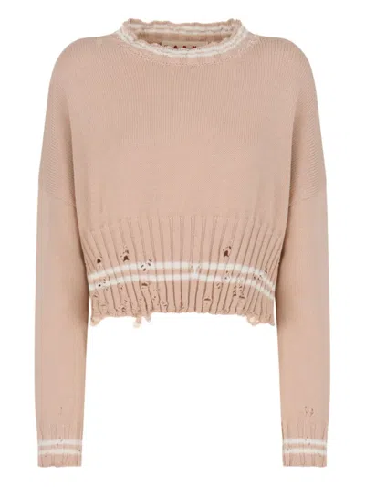Marni Crop Crew Neck Sweater In Neutral