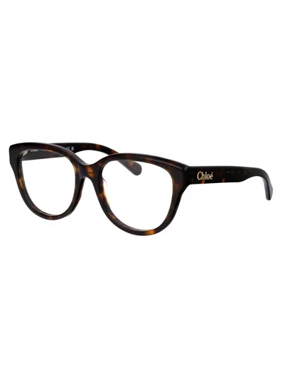 Chloé Havana Havana Transparent Acetate Glasses