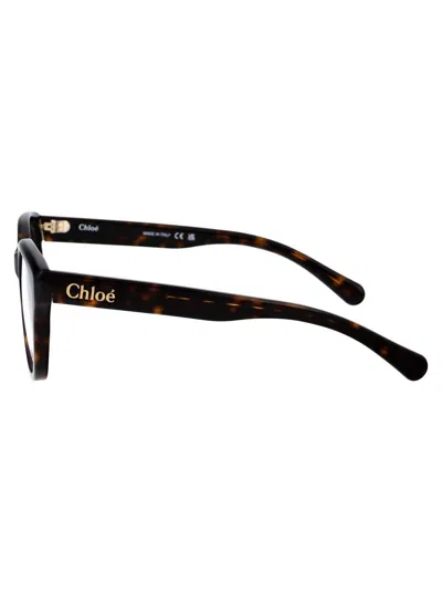 Chloé Havana Havana Transparent Acetate Glasses