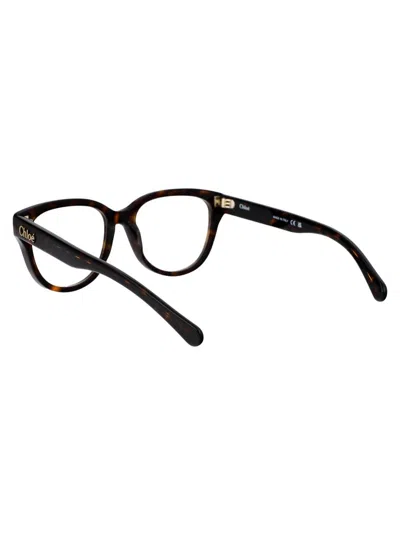 Chloé Havana Havana Transparent Acetate Glasses