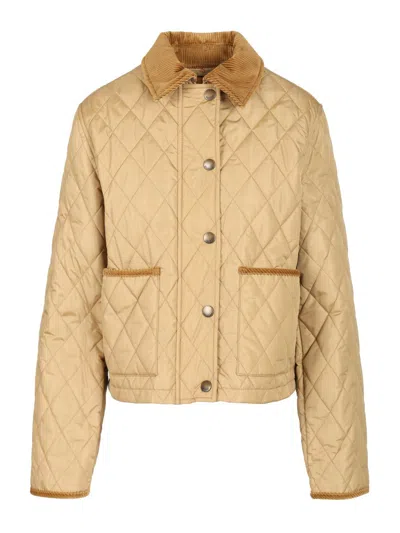 Burberry Padded Jackets With Corduroy Collar In Neutral