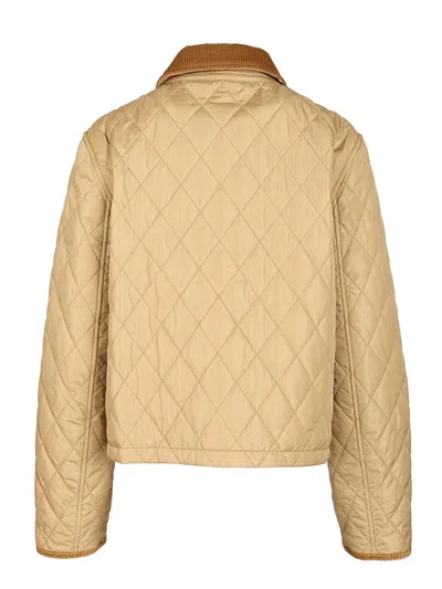 Burberry Padded Jackets With Corduroy Collar In Neutral
