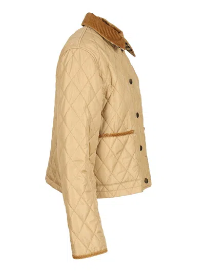Burberry Padded Jackets With Corduroy Collar In Neutral