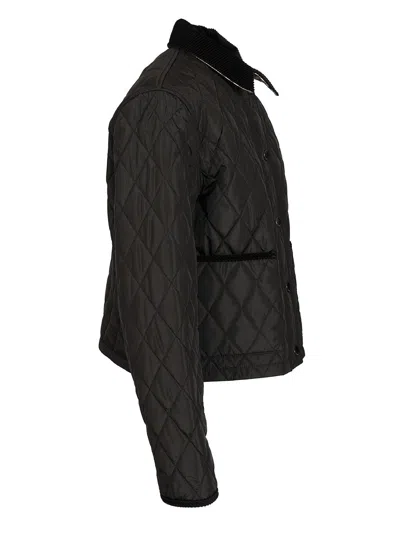 Burberry Check Lining Quilted Nylon Dorset Jacket Clothing In Black