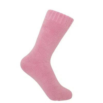 Peper Harow - Made In England Pink / Purple Ribbed Cuff Women's Bed Socks – Pink
