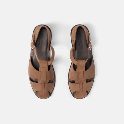 Scarosso Apollo Taupe Suede In Brown