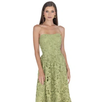 Akalia Amelia Lace Bustier Midi Dress Guipure Lace In Green