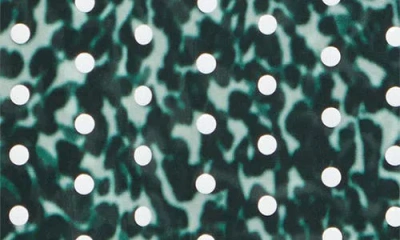 Dries Van Noten Chowy Semi-sheer Zebra-print Shirt