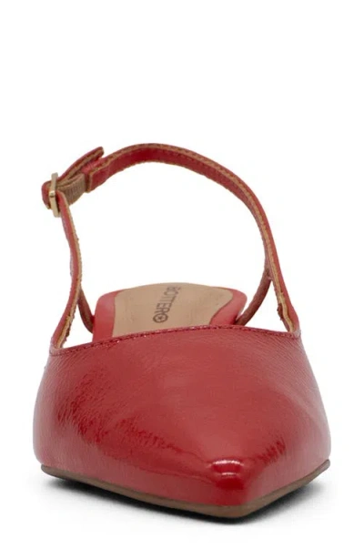 Bottero Botolivia Legacy Pointed Toe Slingback Pump