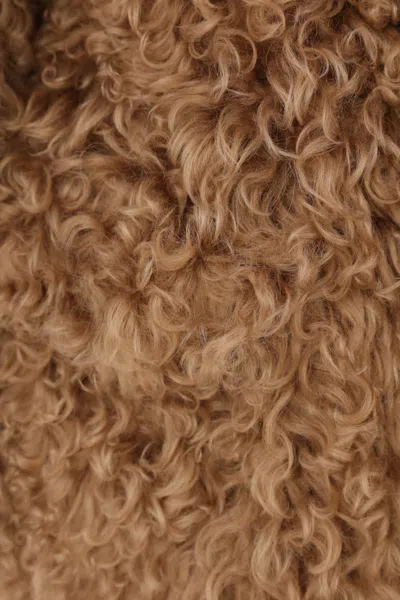 Blancha Curly Fleece Coat