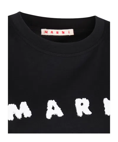 Marni Crew Neck Short Sleeves Top