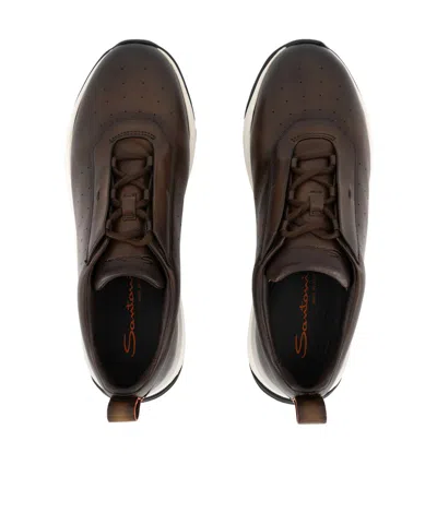 Santoni Sneakers Brown In Brown