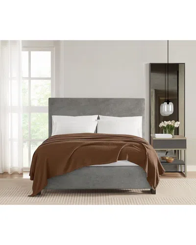 Vince Camuto Classic Cotton Blanket In Brown