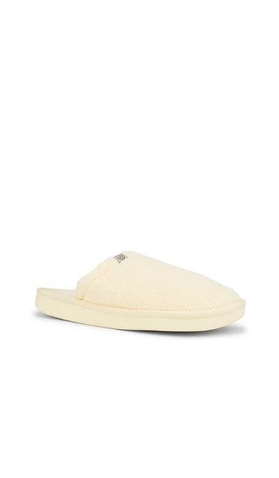 Brunch Essential Spring