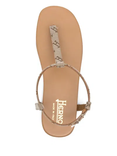 Herno Sandals In Monogram In Brown
