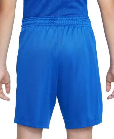 Nike Trophy23 Big Kids' Dri-fit Shorts