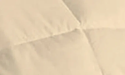 Luxury Home Microfiber Alternative Plush Comforter