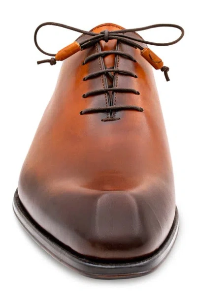 Mezlan Patina Oxford In Brown