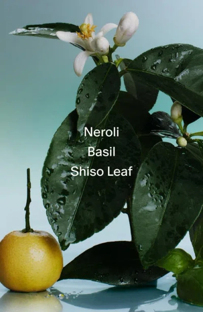 Salt & Stone Neroli & Basil Body Wash With Niacinamide + Probiotics 15.2 Oz/450 ml