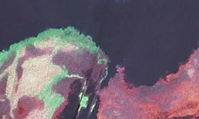 Astr The Label  Tie Waist Wide Leg Jumpsuit