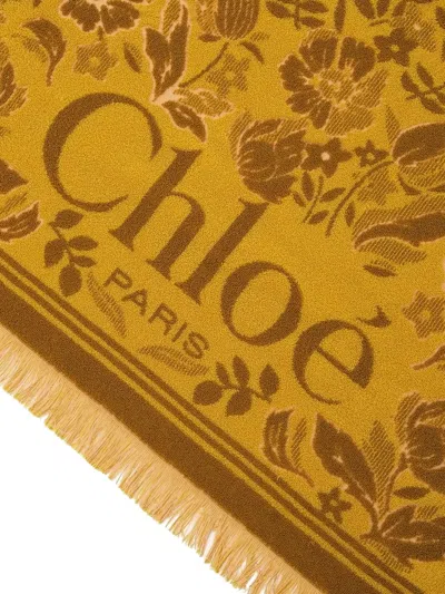 Chloé Plage Cotton Beach Towel In Brown