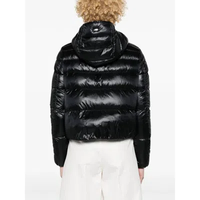 Herno Jacket With Zip And Hood