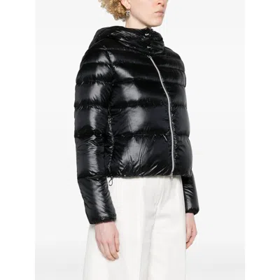 Herno Jacket With Zip And Hood