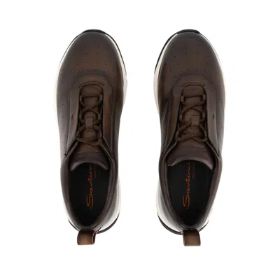 Santoni Perforated Low-top Sneakers In Brown
