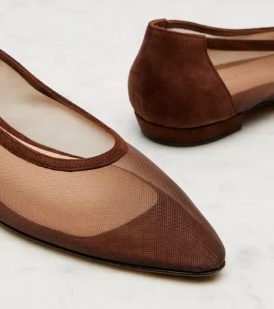 Gianvito Rossi Amelia Suede-trimmed Organza Ballet Flats In Brown