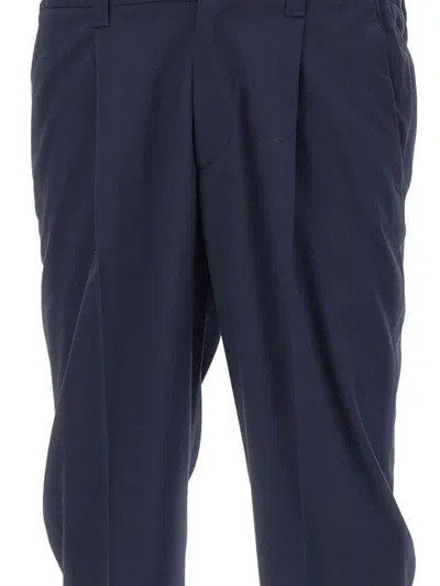 Devore Pleated Trousers In Blue