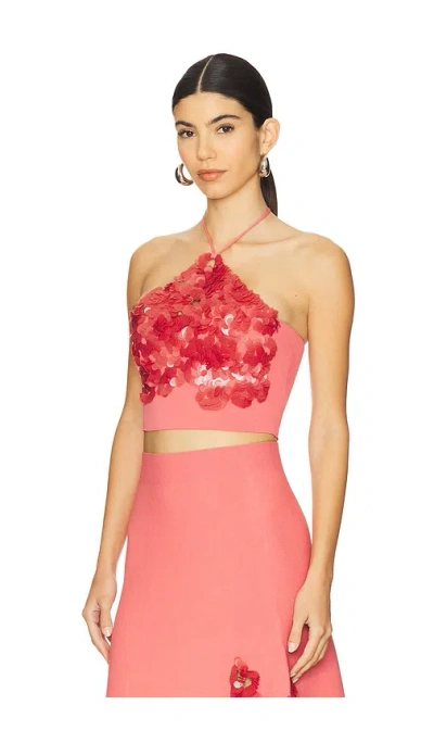 Alexis Relle Halter Sequin Top In Pink