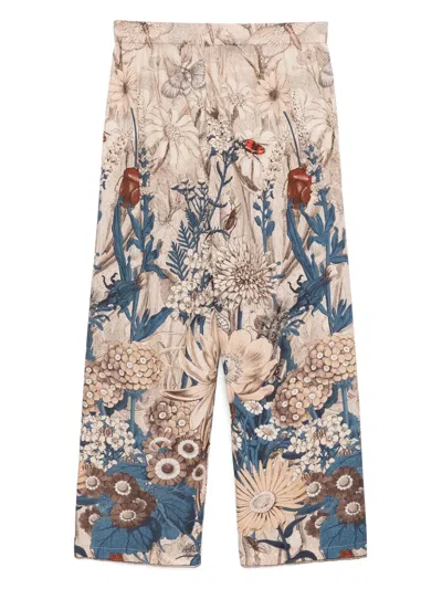 Biyan Cotton Pants In Brown