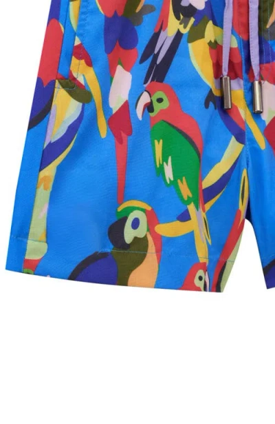 Roarsome Squawk The Parrot Printed Swim Trunks In Blue