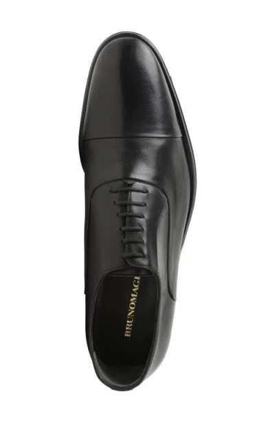 Bruno Magli Maioco Cap Toe Oxford In Black