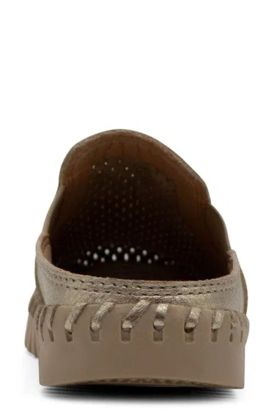 Bottero Bottwister Mule